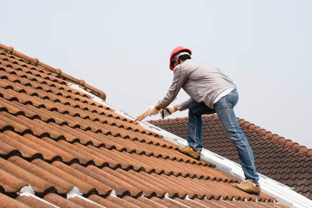 Best Skylight Installation and Repair  in Chepachet, RI
