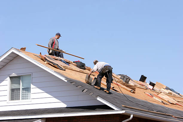 Best Roofing for New Construction  in Chepachet, RI
